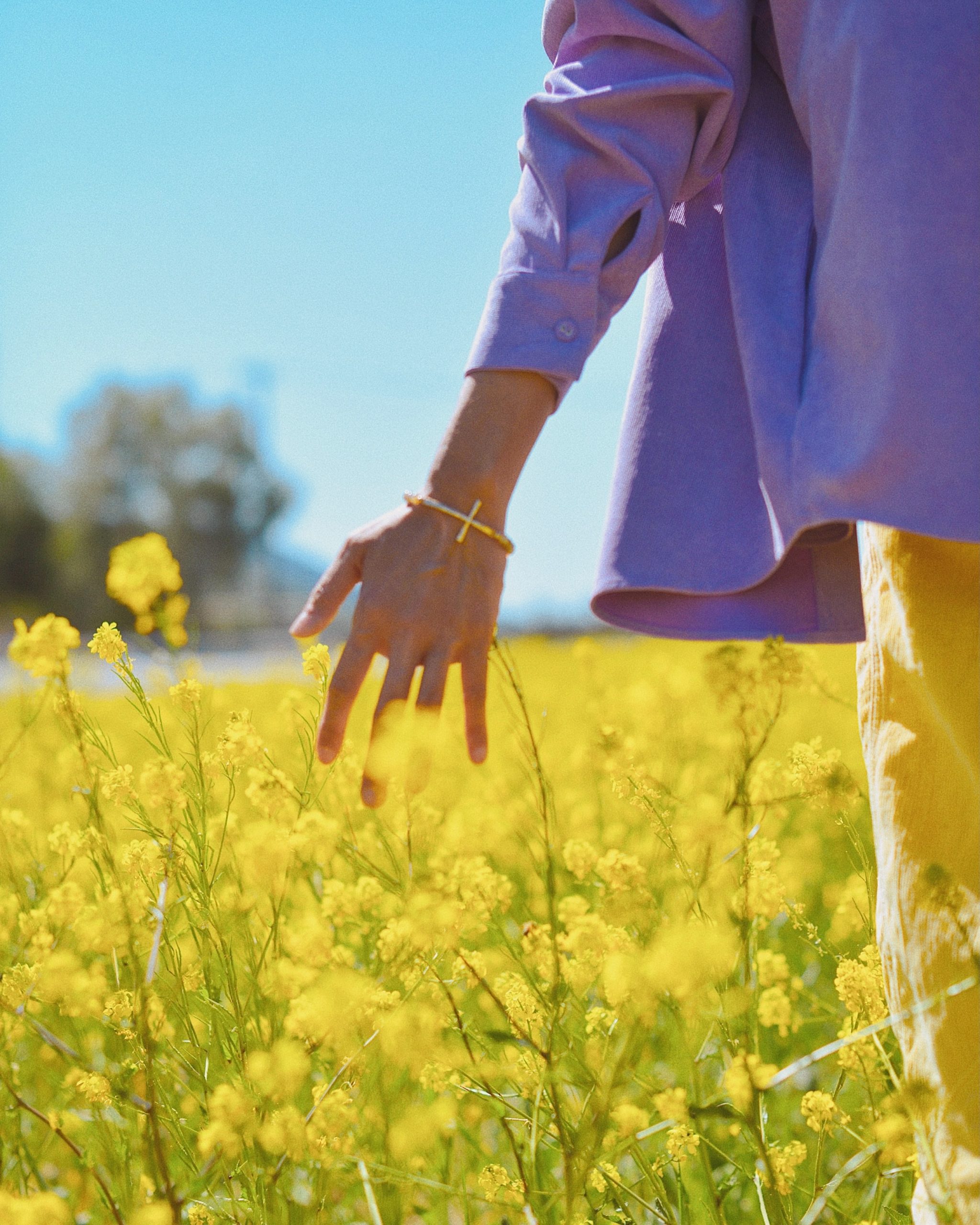 hester-qiang-iQJjiiKvMNM-unsplash